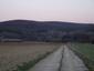 sova lesná (obyčajná) (16.4.2023)