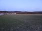 sova lesná (obyčajná) (16.3.2023)