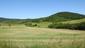 sova lesná (obyčajná) (13.3.2023)