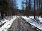 sova lesná (obyčajná) (20.4.2023)