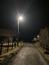 sova lesná (obyčajná) (14.4.2023)