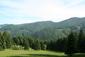 sova lesná (obyčajná) (5.5.2023)