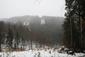 sova lesná (obyčajná) (21.3.2023)