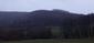 sova lesná (obyčajná) (5.3.2023)