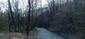 sova lesná (obyčajná) (26.3.2023)