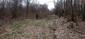 sova lesná (obyčajná) (28.4.2023)