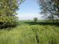 trasochvost biely (5.5.2023)