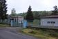 Pinka lesná (6.6.2023)