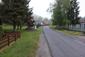 trasochvost biely (6.6.2023)