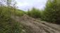 Škovránik stromový (19.5.2023)