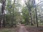 trasochvost biely (30.5.2023)