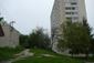 trasochvost biely (29.5.2023)