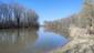 rybár ( čorík) bahenný (16.4.2023)