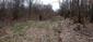 sova lesná (obyčajná) (18.3.2023)