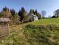 brhlík lesný (obyčajný) (23.5.2023)