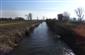 Vydra riečna  (17.1.2024)