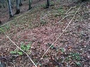 plocha 4x5m