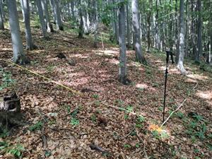 plocha 4x5m