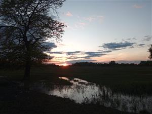 TML Slanisko Akomáň, JV časti, foto: 25.4.2024, J.Lengyel.