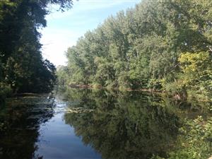 TML Klátovské rameno, Vodný mlyn pohľad na severný  smer, foto: 17.6.2024, J.Lengyel.