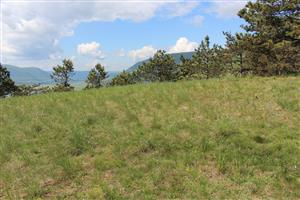 Záber na monitorovaný biotop.