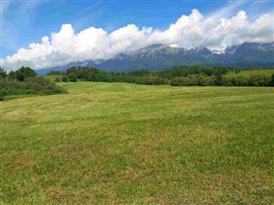 Pohľad na lokalitu po prvom kosení 29.5.2024