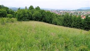 Pohľad na lokalitu s biotopom