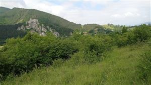 Pohľad na lokalitu