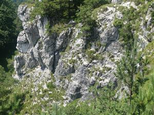 blizsi pohlad na skalnate stanoviste
