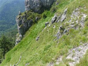 blizsi pohlad na TML_ParnApol_002