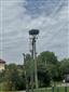 bocian biely (28.6.2023)