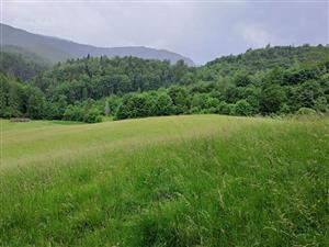 Pohľad na TML zo severnej strany TML