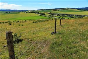 Pohľad na pasenú a nepasenú časť TML