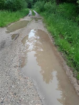 TML, vhodný biotop 1