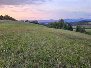 Pohľad na TML smerom na západ.