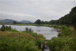 Celkový pohľad na monitorovanú lokalitu.