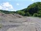 jašterica múrová (9.6.2024)