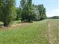 užovka fŕkaná (25.6.2024)