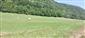 jašterica bystrá (13.7.2024)