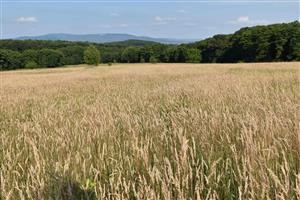 Pohľad na biotop mimo hraníc TML