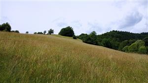 Pohľad na lokalitu - východná časť