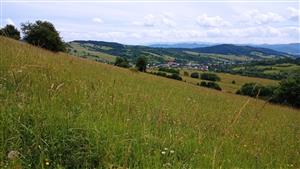 Pohľad na lokalitu - centrálna časť