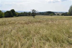 Celkový pohľad na TML smerom k vlhšej časti