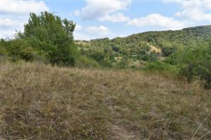 Nekosená časť TML