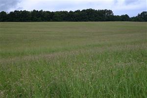 Celkový pohľad na TML