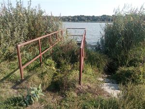 Pohľad na JZ časť TML Číčovské rybníky, betónové  schodíky ku stavidlu s trusom Lutra lutra. Foto: 19.9.2024.