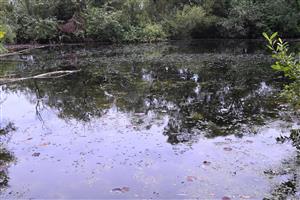 Pohľad na lokalitu na jv. okraji