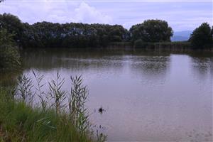 Celkový pohľad na TML