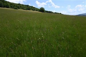 Pohľad na centrálnu časť TML