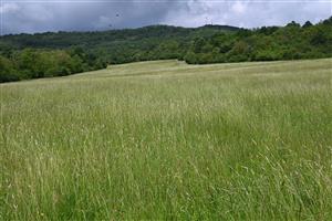 Pohľad na TML z dolnej časti